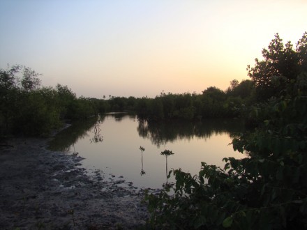 Excursión descubre Gambia