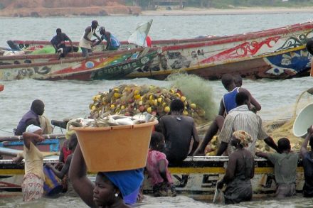 viajar a Gambia: tanji