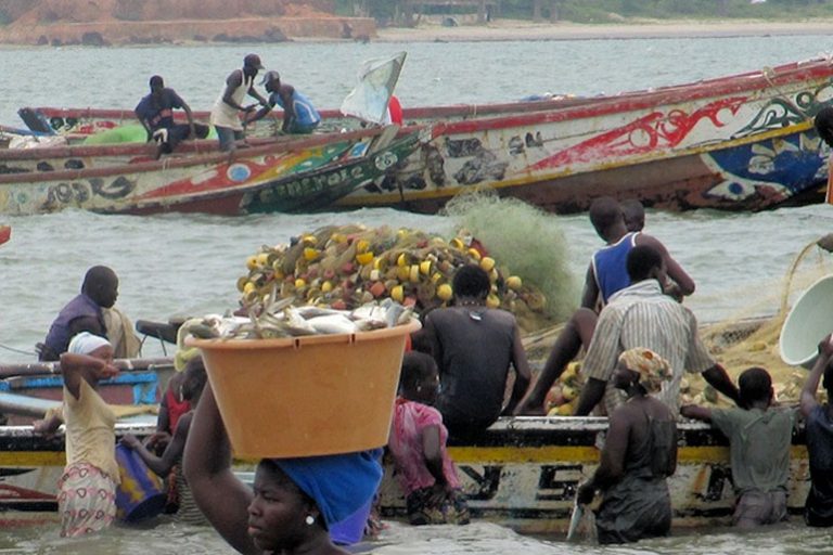 viajar a Gambia: tanji